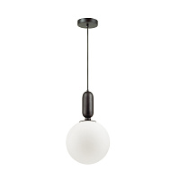 Подвесной светильник Odeon Light OKIA 4671/1