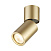 Настенно-потолочный светильник Odeon Light DUETTA 3895/1C