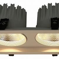 Встраиваемый светильник Arte Lamp Privato A7018PL-2WH