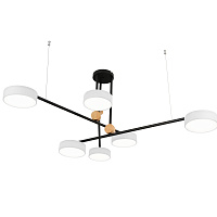 Потолочная светодиодная люстра KINK Light Рапис 07647-6,01(4000K)