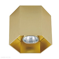 Накладной светильник Zumaline POLYGON CL 1L 20035-GD