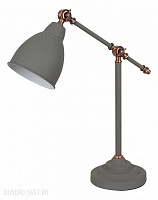 Настольная лампа Arte Lamp Braccio A2054LT-1GY