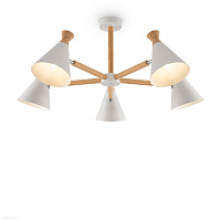 Потолочная люстра Freya Rise FR5169PL-05W