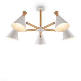 Потолочная люстра Freya Rise FR5169PL-05W