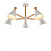 Потолочная люстра Freya Rise FR5169PL-05W
