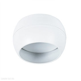 Накладной светильник Arte Lamp GAMBO A5551PL-1WH