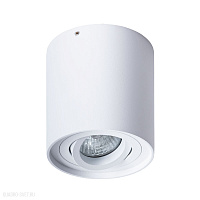 Накладной светильник Arte Lamp GALOPIN A1460PL-1WH