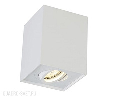 Накладной светильник Crystal Lux CLT 420C WH