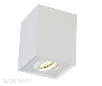 Накладной светильник Crystal Lux CLT 420C WH