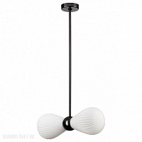 Подвесной светильник Odeon Light Elica 5418/2