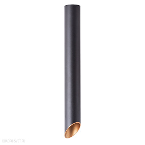 Накладной светильник Arte Lamp PILON-GOLD A1537PL-1BK