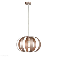 Подвесной светильник Vele Luce Ophir VL5324P21