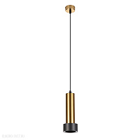 Подвесной светильник Arte Lamp RAN A3147SP-1PB