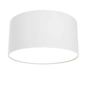Потолочный светодиодный светильник Maytoni Zon C032CL-L12W3K