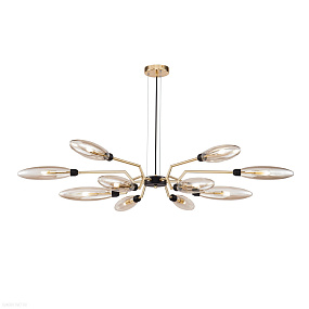 Потолочная люстра Maytoni Ventura MOD012CL-12G