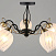 Люстра потолочная Omnilux Garda OML-65507-05