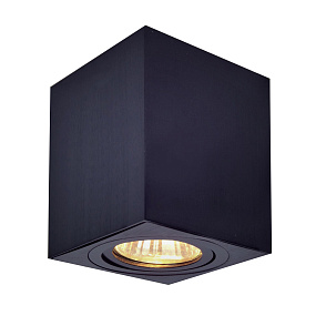 Спот поворотный CITILUX Дюрен CL538213