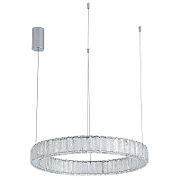 Подвесной светодиодный светильник Divinare BARBARA 1137/02 SP-28