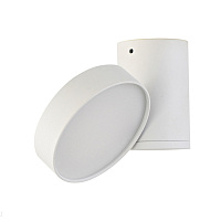 Накладной светодиодный светильник Donolux Moon DL18811/15W White R Dim