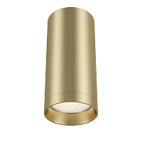 Накладной светильник Maytoni Focus C010CL-01MG