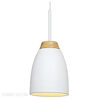 Подвесной светильник LOFT IT Watchman LOFT4402A-WH