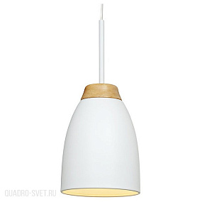Подвесной светильник LOFT IT Watchman LOFT4402A-WH