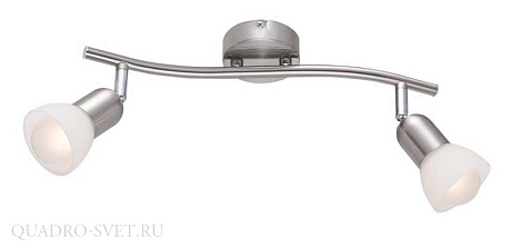 Спот Arte Lamp FALENA A3115PL-2SS