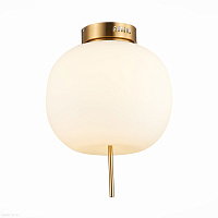 Потолочный светодиодный светильник ST LUCE LACUS SL1621.202.01