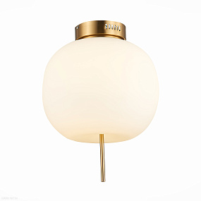 Потолочный светодиодный светильник ST LUCE LACUS SL1621.202.01