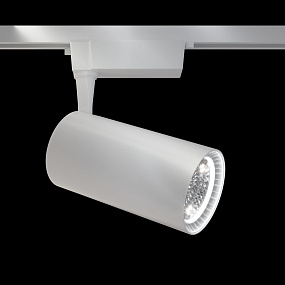 Трековый светодиодный светильник для 1-фазного трека Maytoni Track lamps TR003-1-40W4K-W