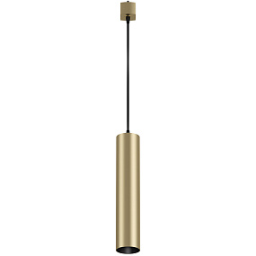 Трековый светильник для однофазного шинопровода Maytoni Focus TR025-1-GU10-MG