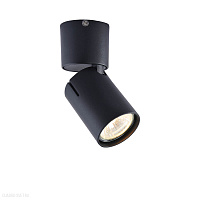 Накладной светильник Vele Luce Carrisi VL8062S01