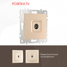 Розетка TV 206.43-1.shampan Arte Milano