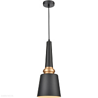 Подвесной светильник Vele Luce Appassionato VL2142P01