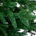 Ель CRYSTAL TREES Савойя 210 см KP13210