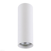 Накладной светильник Lightstar Rullo 214496