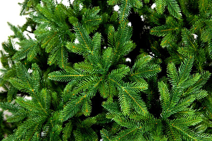 Ель CRYSTAL TREES ТРИУМФ 215 см. KP65215