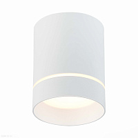 Накладной светодиодный светильник ST Luce ST115.532.12