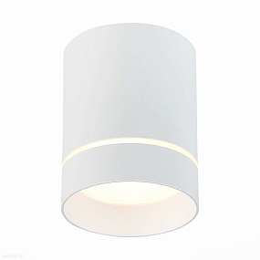 Накладной светодиодный светильник ST Luce ST115.532.12