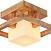 Потолочный светильник Arte Lamp WOODS A8252PL-1BR