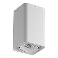 Накладной светодиодный светильник Lightstar Monocco 052336