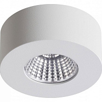 Накладной светодиодный светильник Odeon Light BENE 4282/7CL