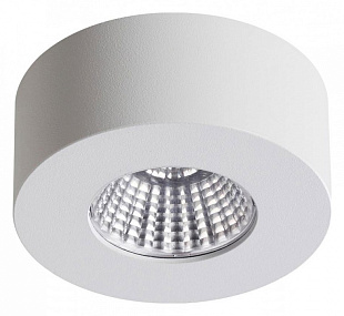 Накладной светодиодный светильник Odeon Light BENE 4282/7CL
