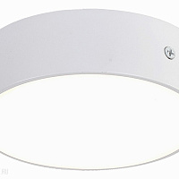 Накладной светодиодный светильник Favourite Flashled 2065-16C