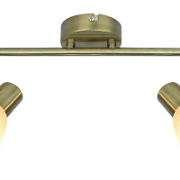 Спот Arte Lamp Parry A5062AP-2AB