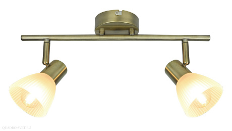 Спот Arte Lamp Parry A5062AP-2AB