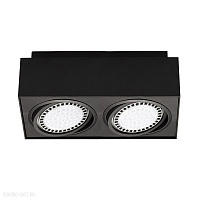 Накладной светильник Zumaline BOXY CL 2 20075-BK