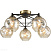 Потолочная люстра Vele Luce Furia VL1882L05