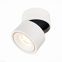 Накладной светодиодный светильник ST Luce ST652.532.12