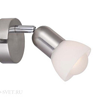 Спот Arte Lamp FALENA A3115AP-1SS